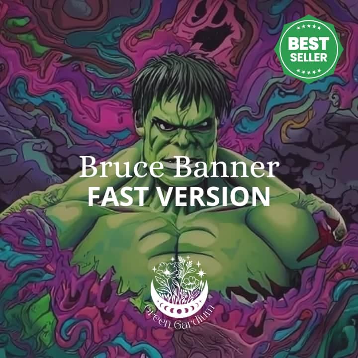 Bruce Banner Fast Version