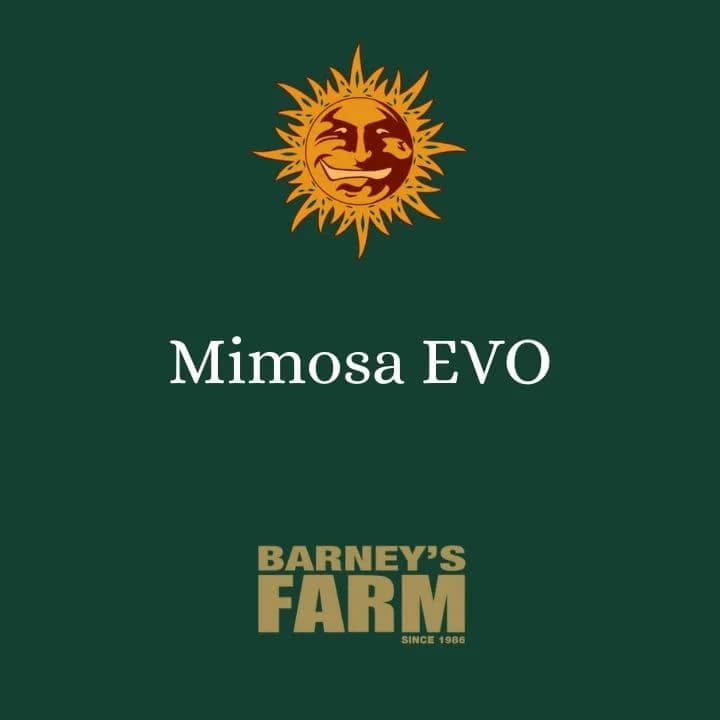 Mimosa EVO