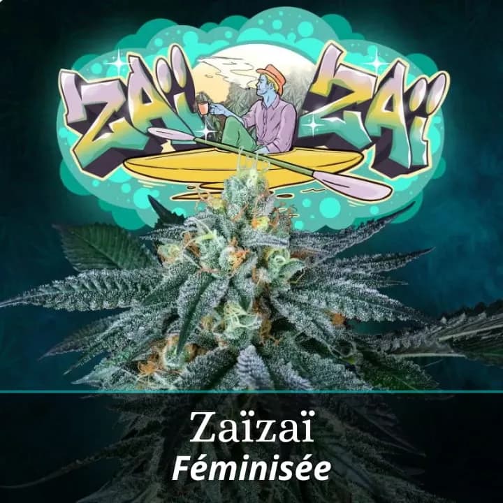 Zaïzaï