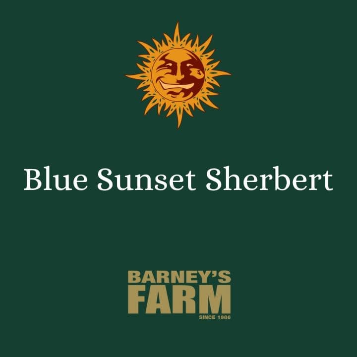 Blue Sunset Sherbet