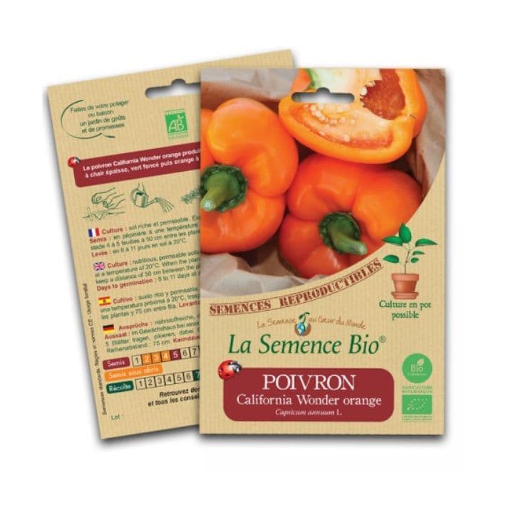 Poivron California Wonder Orange