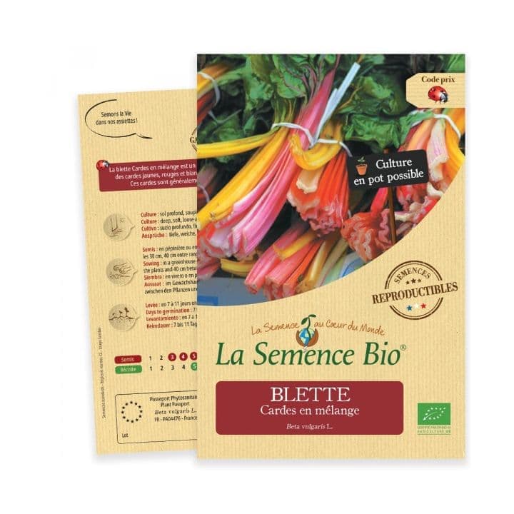 Blette Cardes en mélange