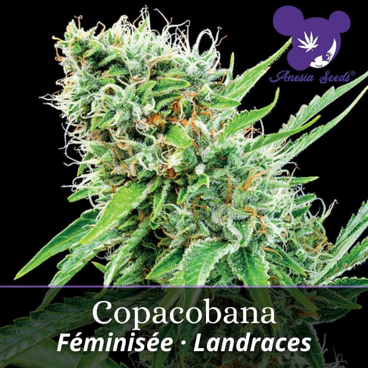Copacobana