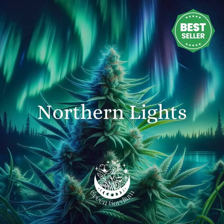 Northern Lights