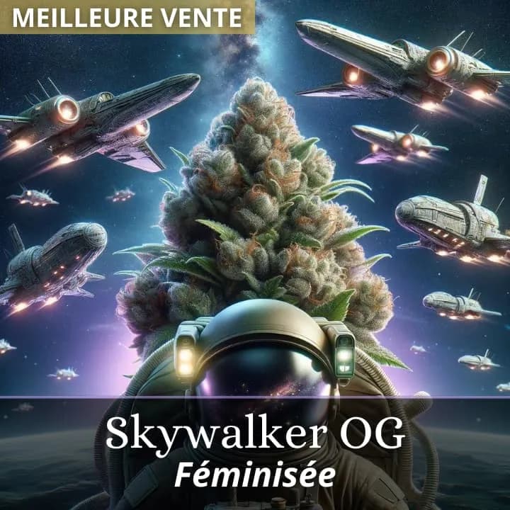 Skywalker OG