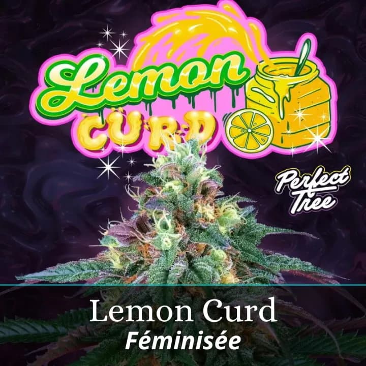 Lemon Curd