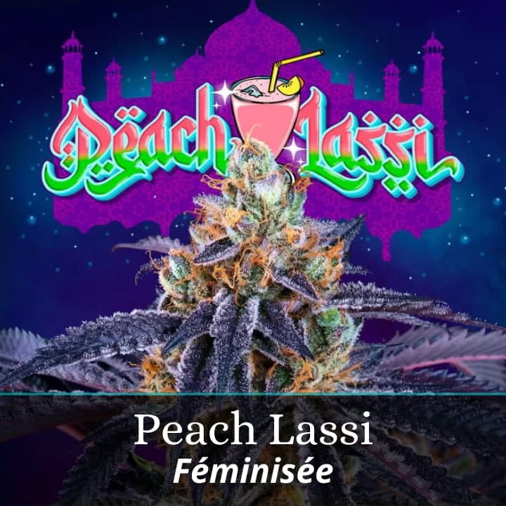 Peach Lassi