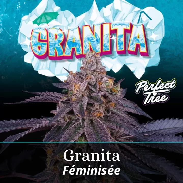 Granita