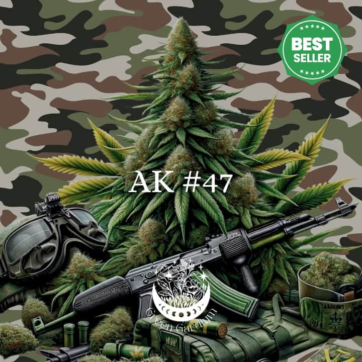 AK #47