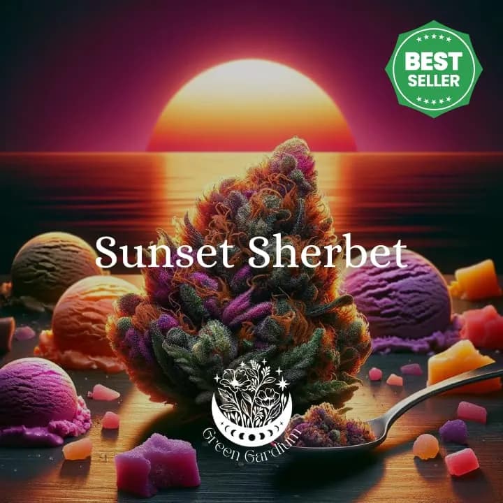 Sunset Sherbet