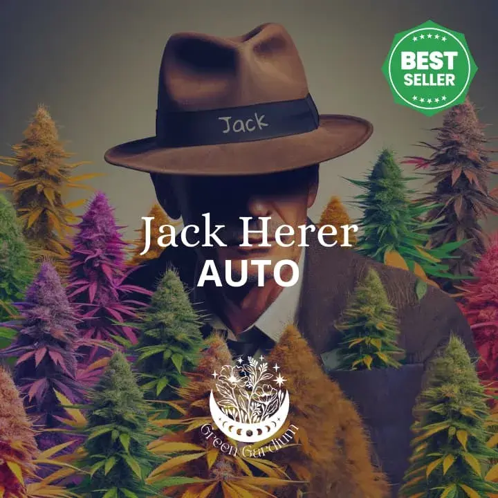 Jack Herer Auto