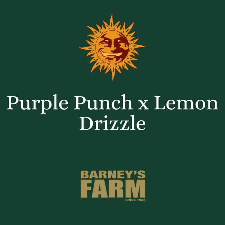 Purple Punch x Lemon Drizzle