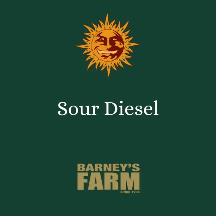 Sour Diesel