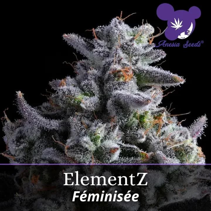 ElementZ