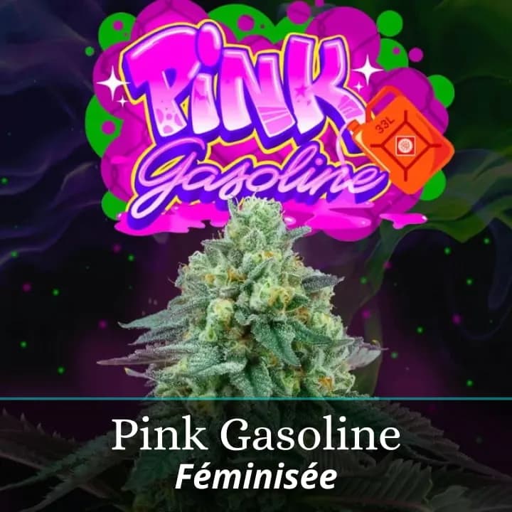 Pink Gasoline
