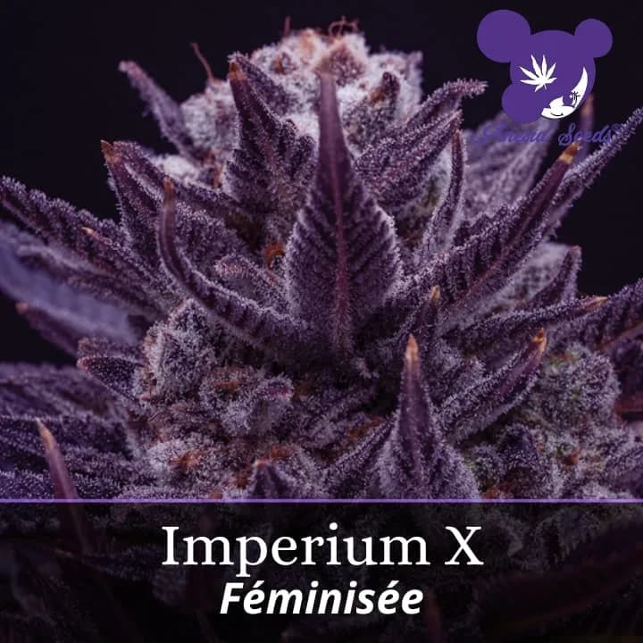 Imperium X