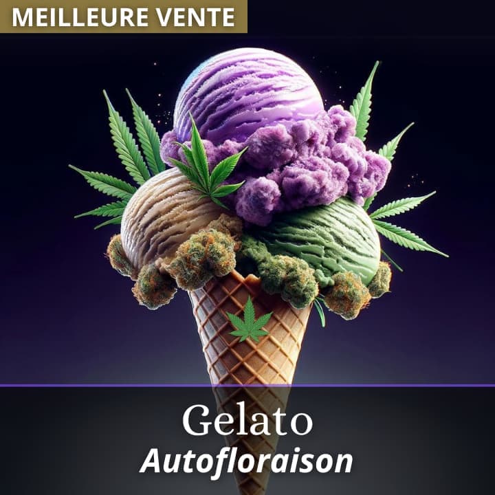 Gelato Auto