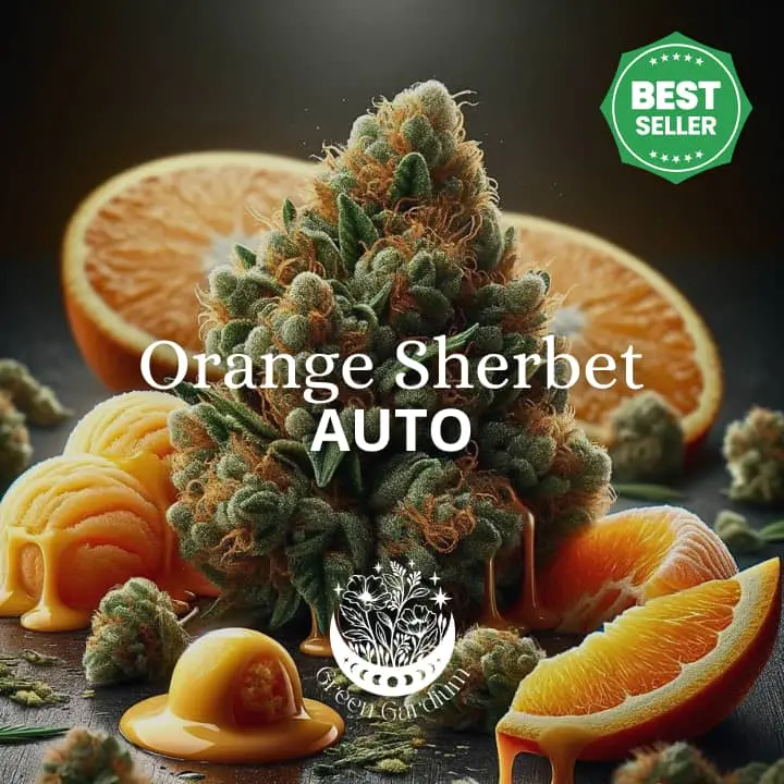 Orange Sherbet Auto