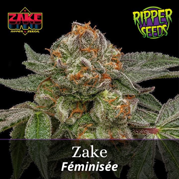Zake