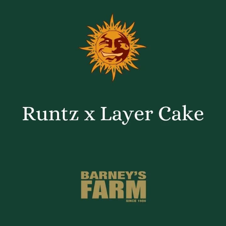 Runtz x Layer Cake