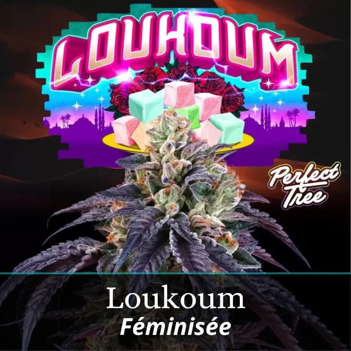 Loukoum