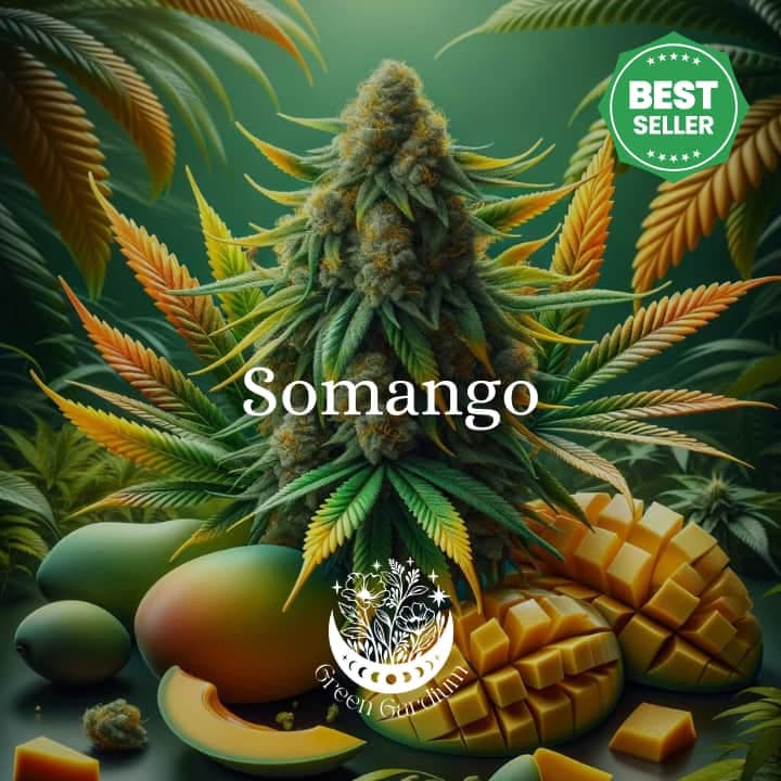 Somango