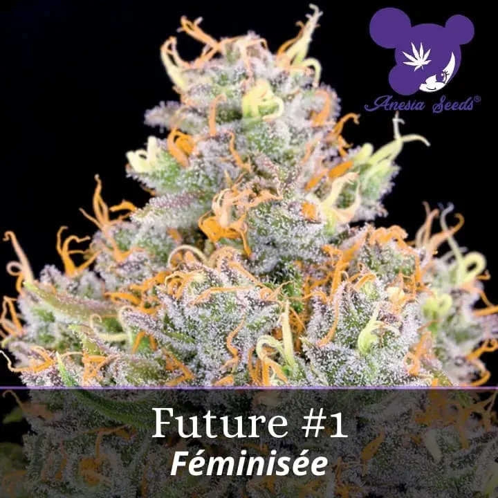 Future #1