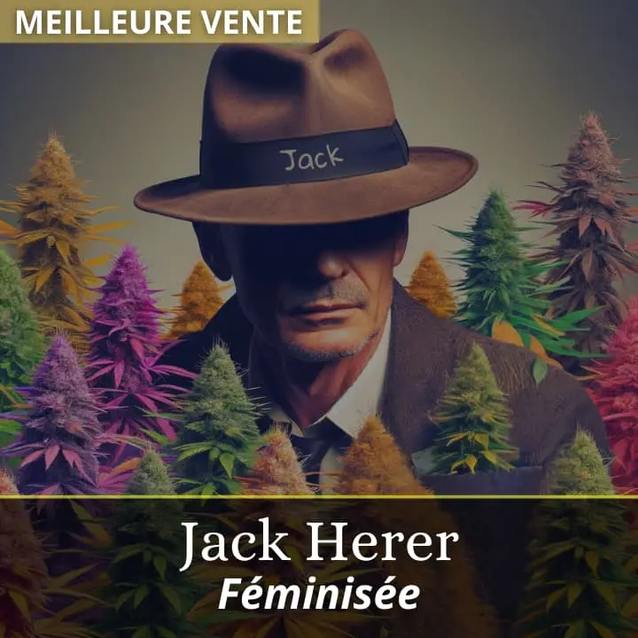 Jack Herer