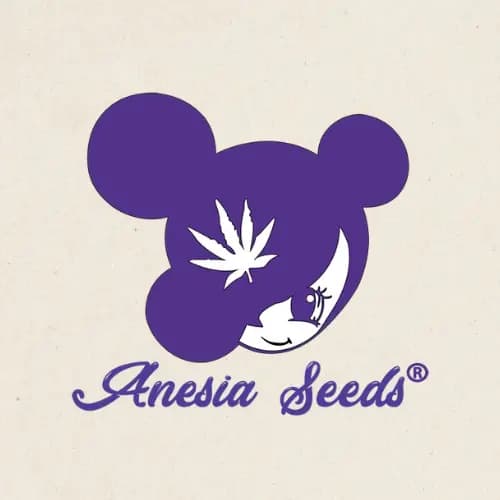 Anesia Seeds
