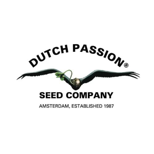 Dutch Passion