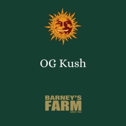 BarneysFarm OG Kush Féminisée