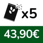 Lemon Sorbet - 5 Graines