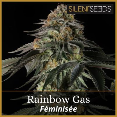 Rainbow Gas